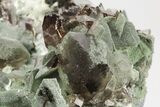 Lustrous Axinite-(Fe) and Smoky Quartz Associaition - Russia #208745-6